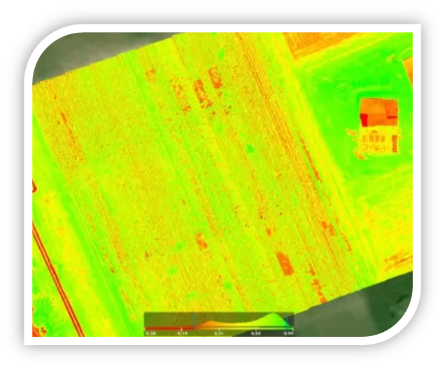 Figure 7. Example of NDVI Index Application