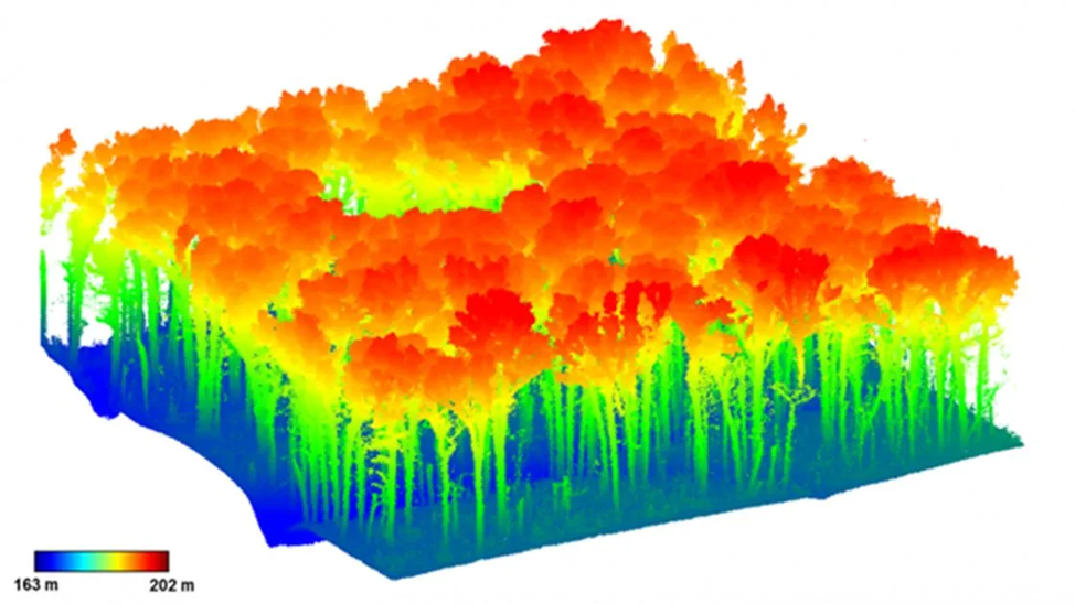 Figure 3. Data obtained with LIDAR